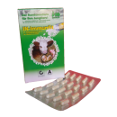 Immunfit - Kolostrum 60 Kapseln